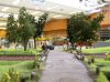 Hama-3-_010.jpg