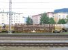 Bild_206.jpg